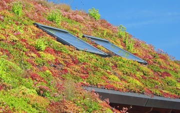 St Neots living roof systems