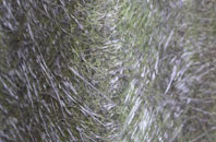 St Neots fibreglass roof work